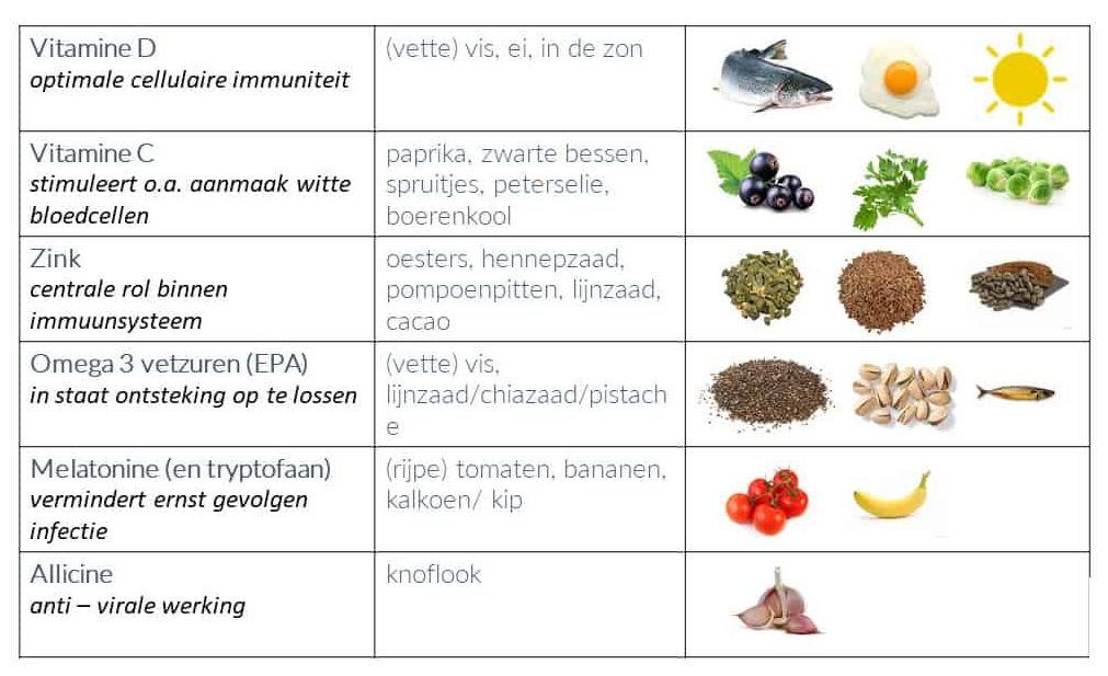 Vitamine C Kopen - #1 In Natuurlijke Voedingssupplementen